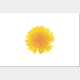 Golden Dandelion Posters and Art